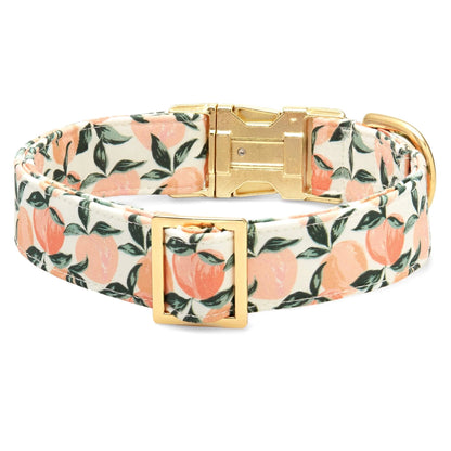 Peaches and Cream - Collar