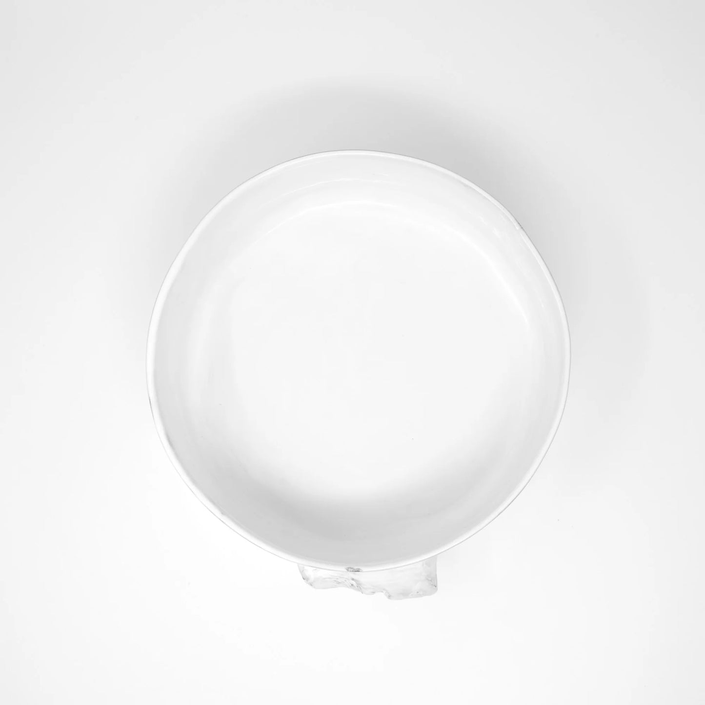 Dog Bowl