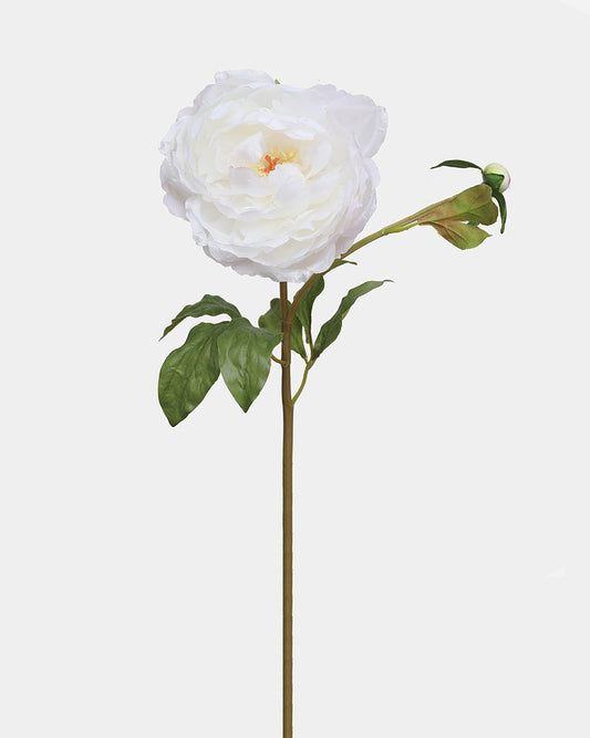 Floral Stem - Peony White 19.5"