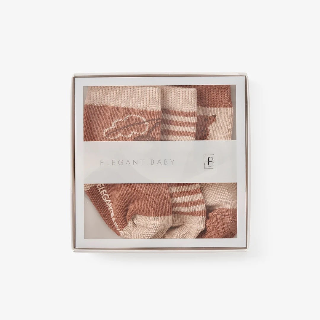 Socks - Bear (3 Pack)