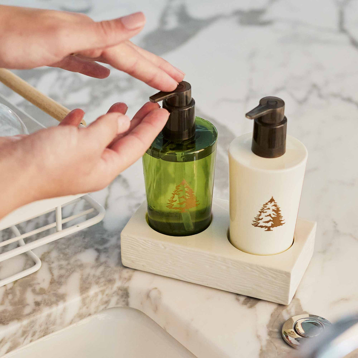 Frasier Fir - Hand Lotion