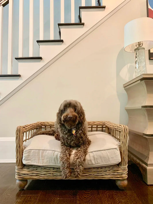 Dog Bed - Bronson Medium