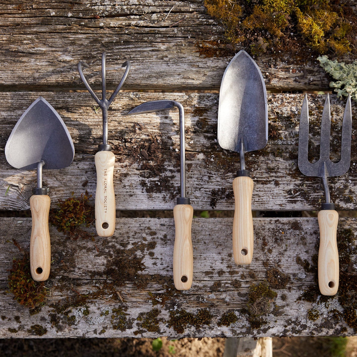 Three Tine Cultivator