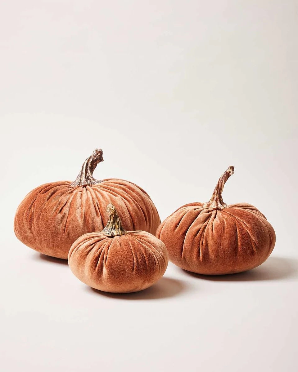 Harvest Pumpkin - Rust Medium