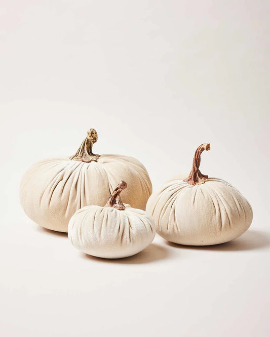 Harvest Pumpkin - Natural Medium