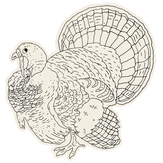 Paper Placemats - Coloring Turkey (12 sheets)