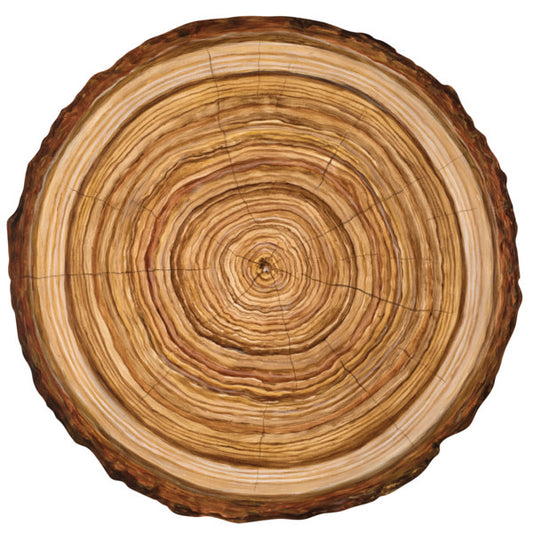 Paper Placemats - Cut Wood Slice (12 sheets)