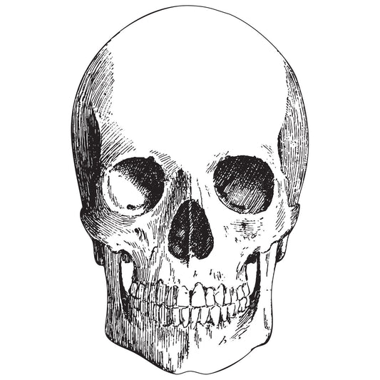 Paper Placemats - Skull (12 sheets)