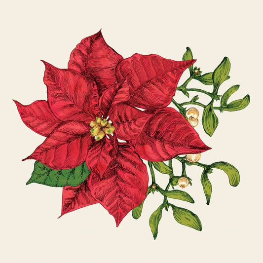 Paper Cocktail Napkins - Poinsettia