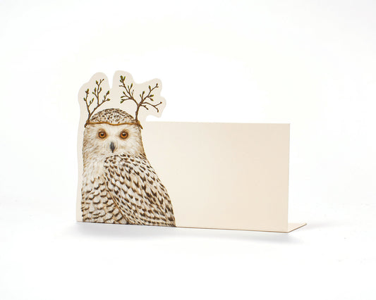 Place Cards - Winter Owl (pack of 12)