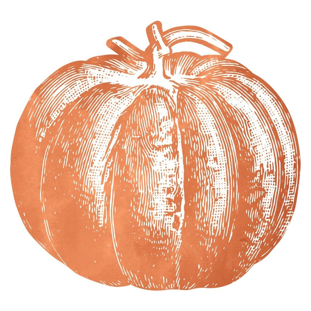 Paper Placemats - Pumpkin (12 sheets)