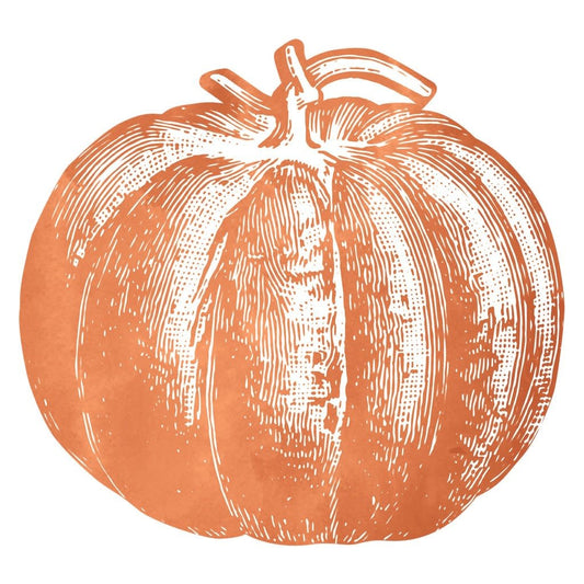 Paper Placemats - Pumpkin (12 sheets)