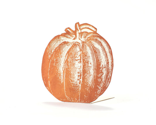 Place Cards - Pumpkin (pack of 12)