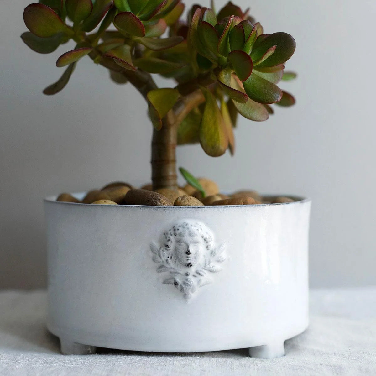 Mon Jules Planter - Medium