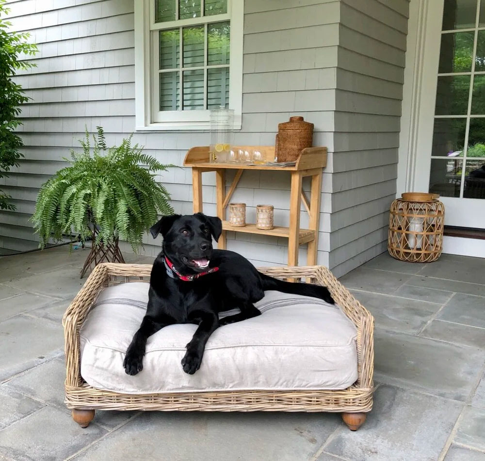 Dog Bed - Bronson Medium
