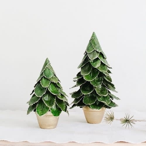 Tree - Potted Green Butterfly Leaf Cone Tree 14"