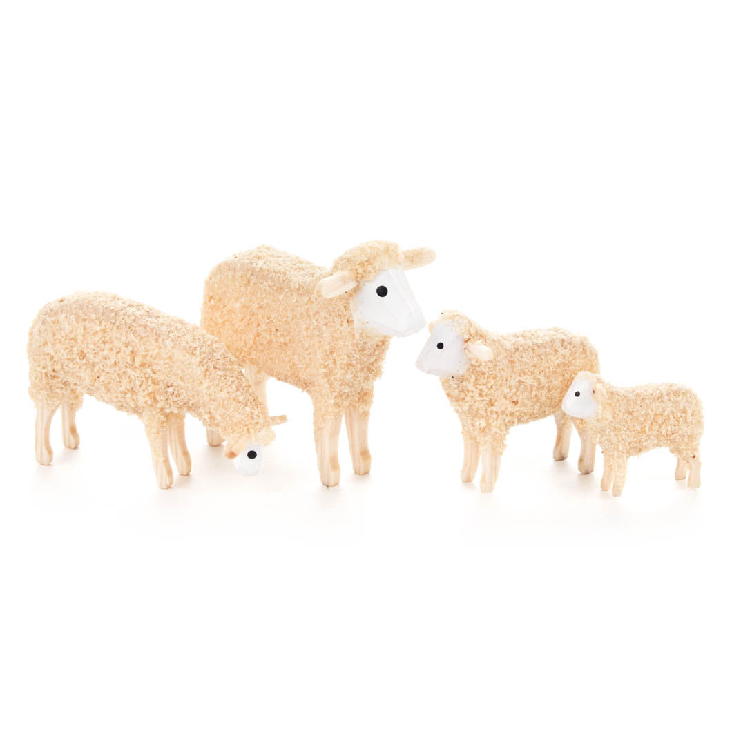 Sheep Family (4)