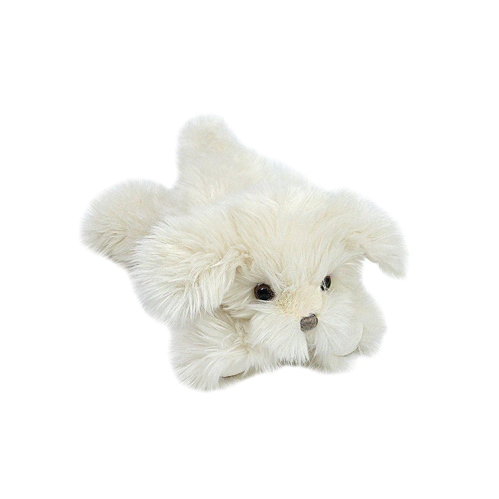 Sugar the Maltese Puppy