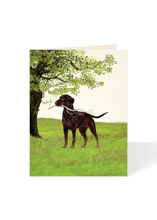 Card - Dog - With Stick
