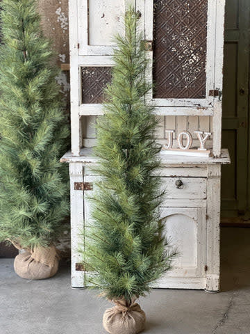 Tree - Timberline Pine 5'