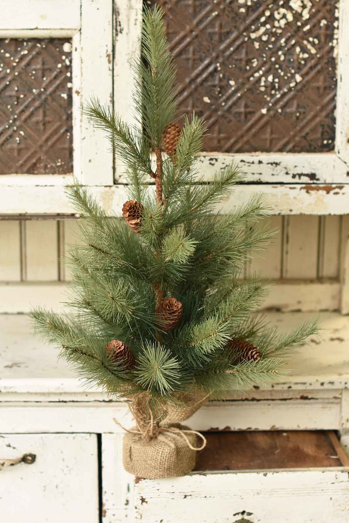 Tree - Woodford Pine 24"